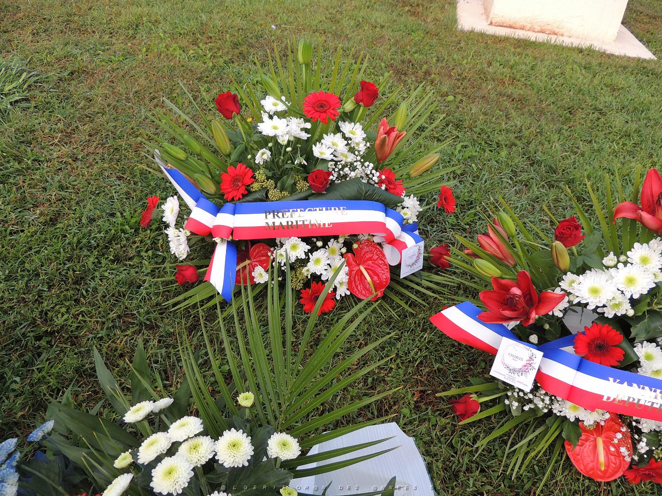 2022 09 25 TOULON HOMMAGE AUX HARKIS (11).JPG -           